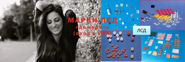 крисы Абаза