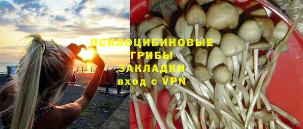 крисы Абаза