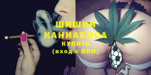 крисы Абаза